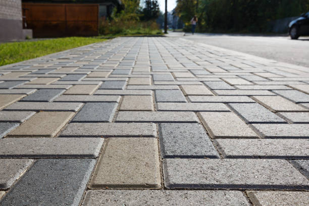 Best Driveway Paving Near Me  in Avoca, PA